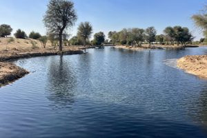 Al Qudra Artificial Lakes